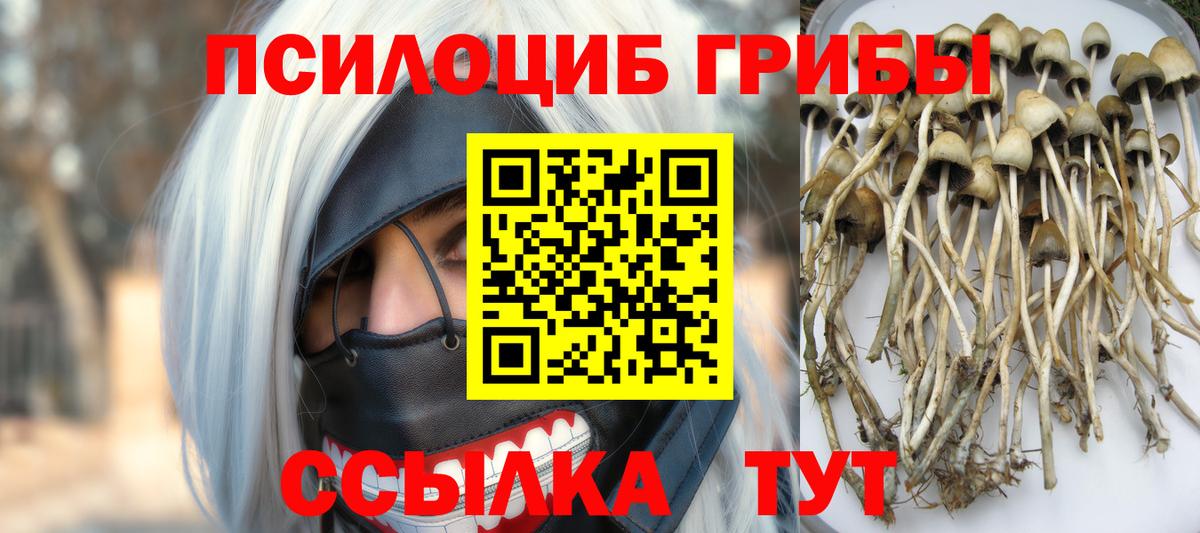 Геленджик  Псилоцибиновые грибы мухоморы  Вход с VPN 